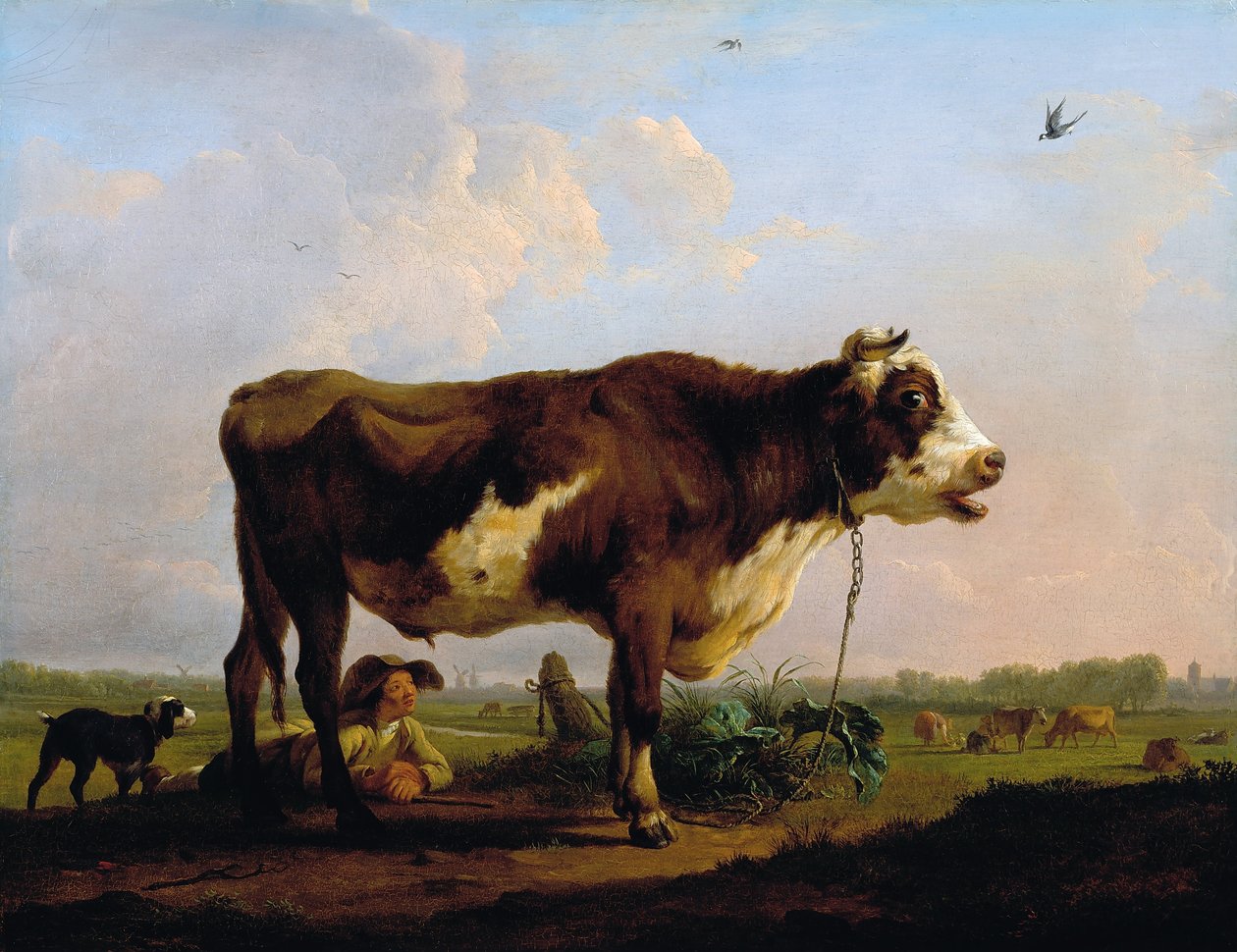 En okse av Balthasar Paul Ommeganck