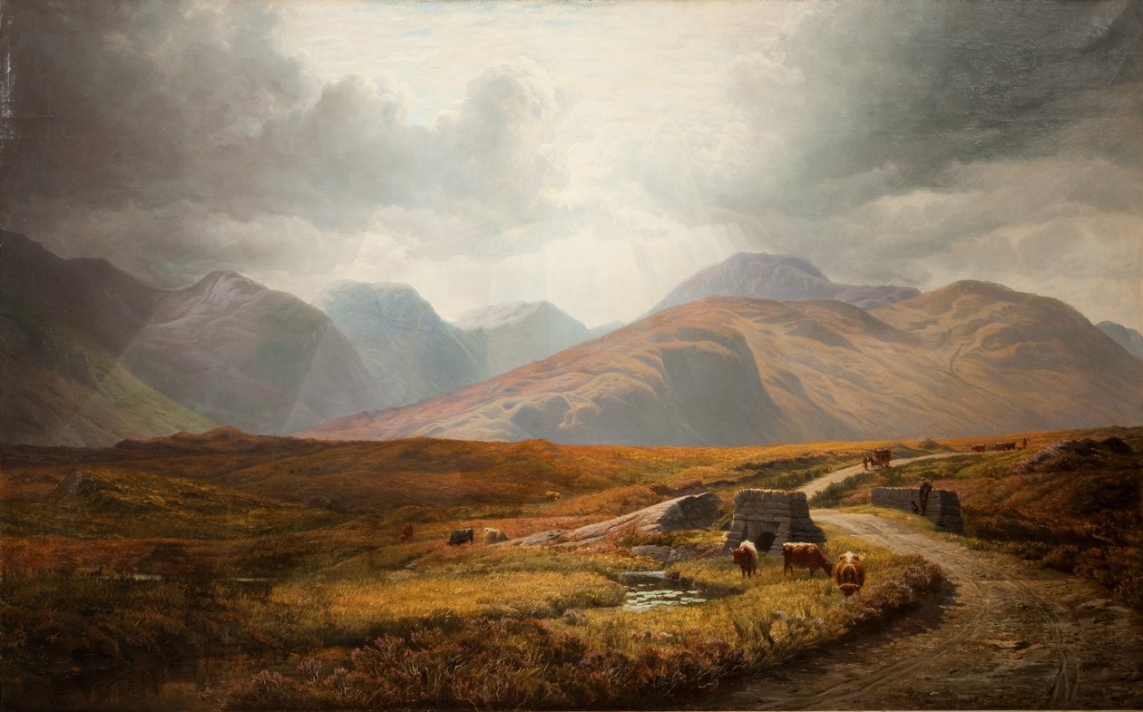 Connemara av Bartholomew Colles Watkins