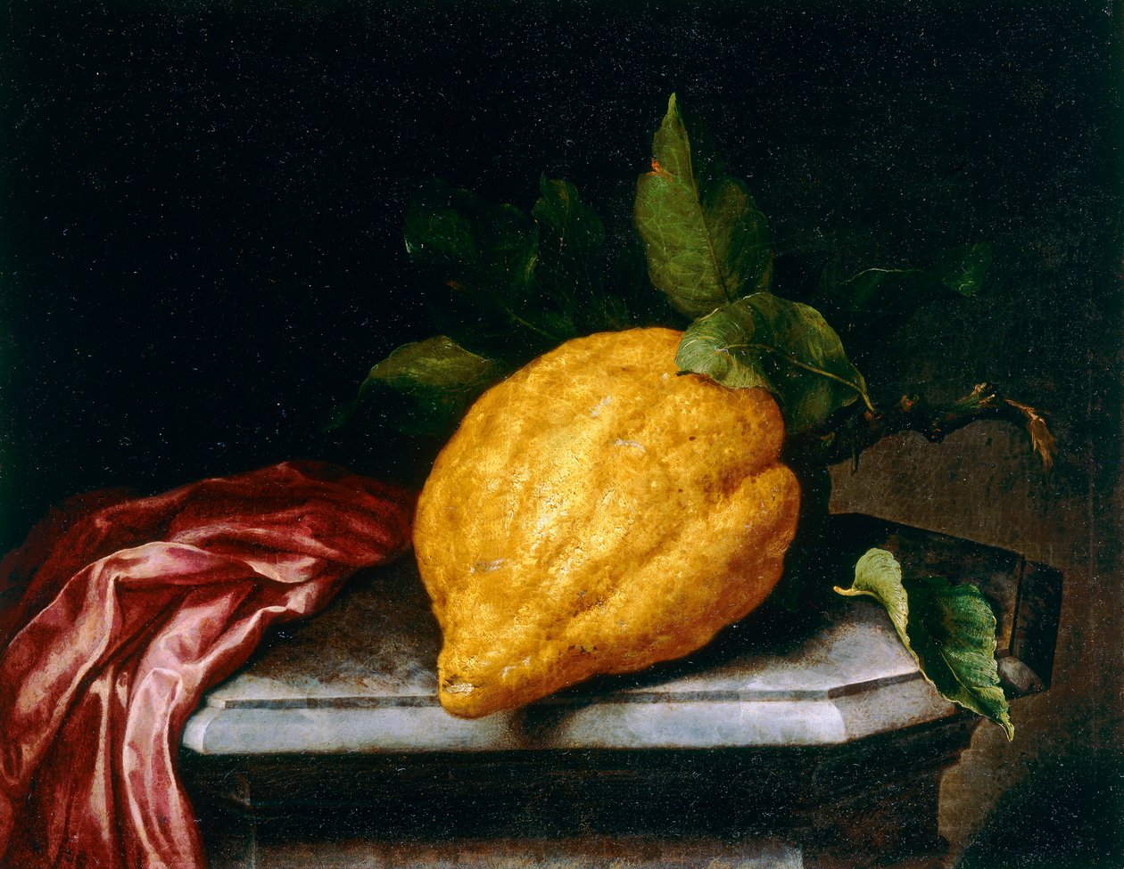 Sitron av Bartolomeo Bimbi