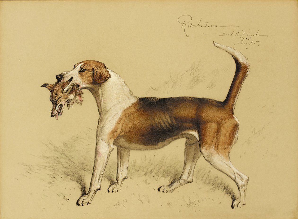 Straff av Basil J. Nightingale