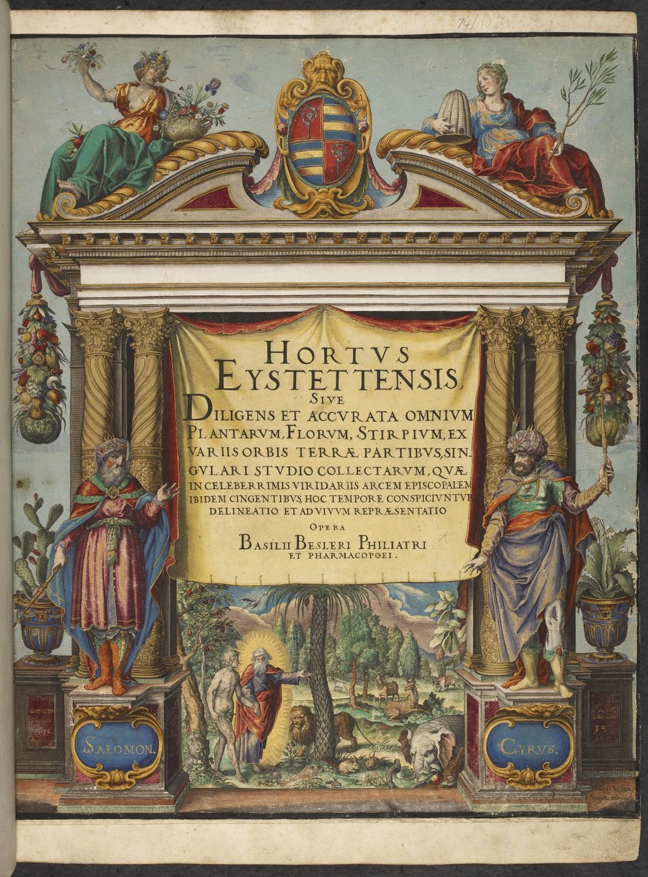 Tittelside, fra 'Hortus Eystettensis' av Basilius Besler