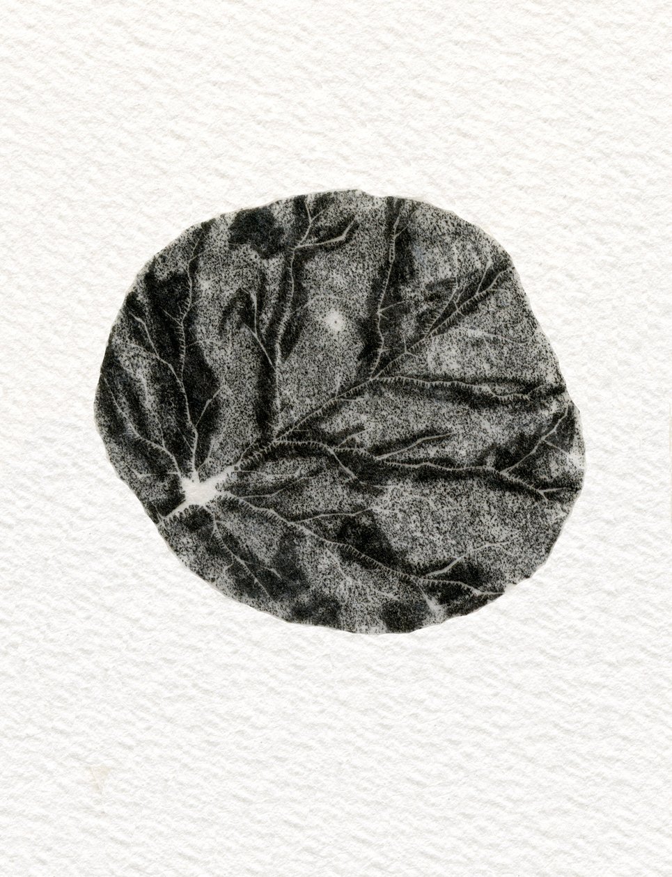 Leaf, 2014, (tregravering på papir) av Bella Larsson