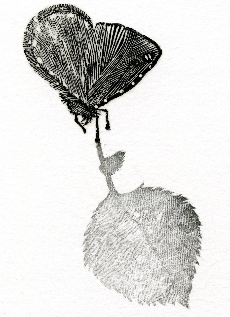 Suspense, 2014 (Tregravering, collage på papir) av Bella Larsson