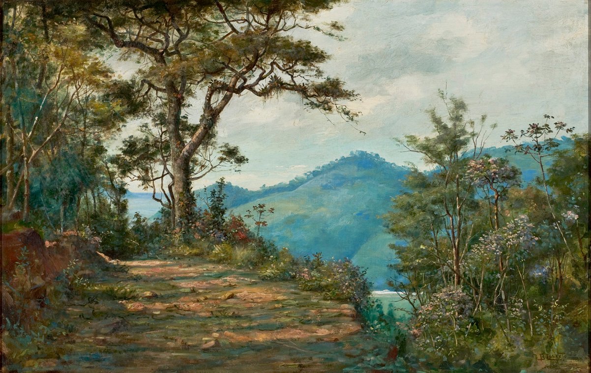 LandscapenPortugues: Landskap fra Matan -serien av Benedito Calixto