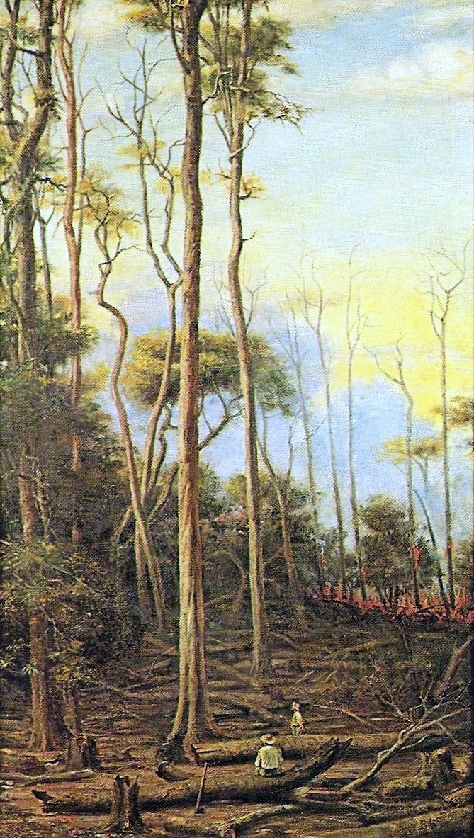 Paroba treesnPortugues: As Perobeirasn av Benedito Calixto