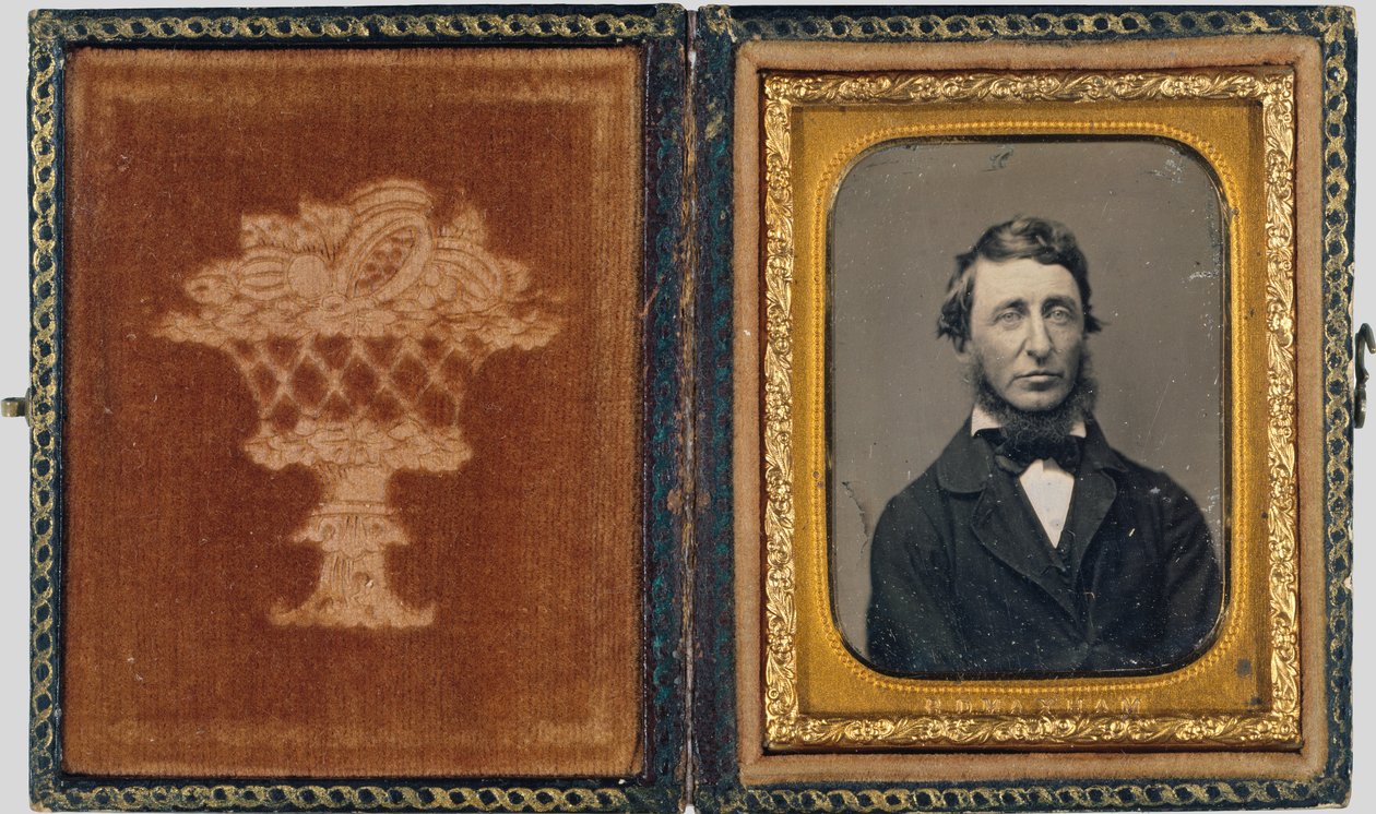 Henry David Thoreau av Benjamin D. Maxham