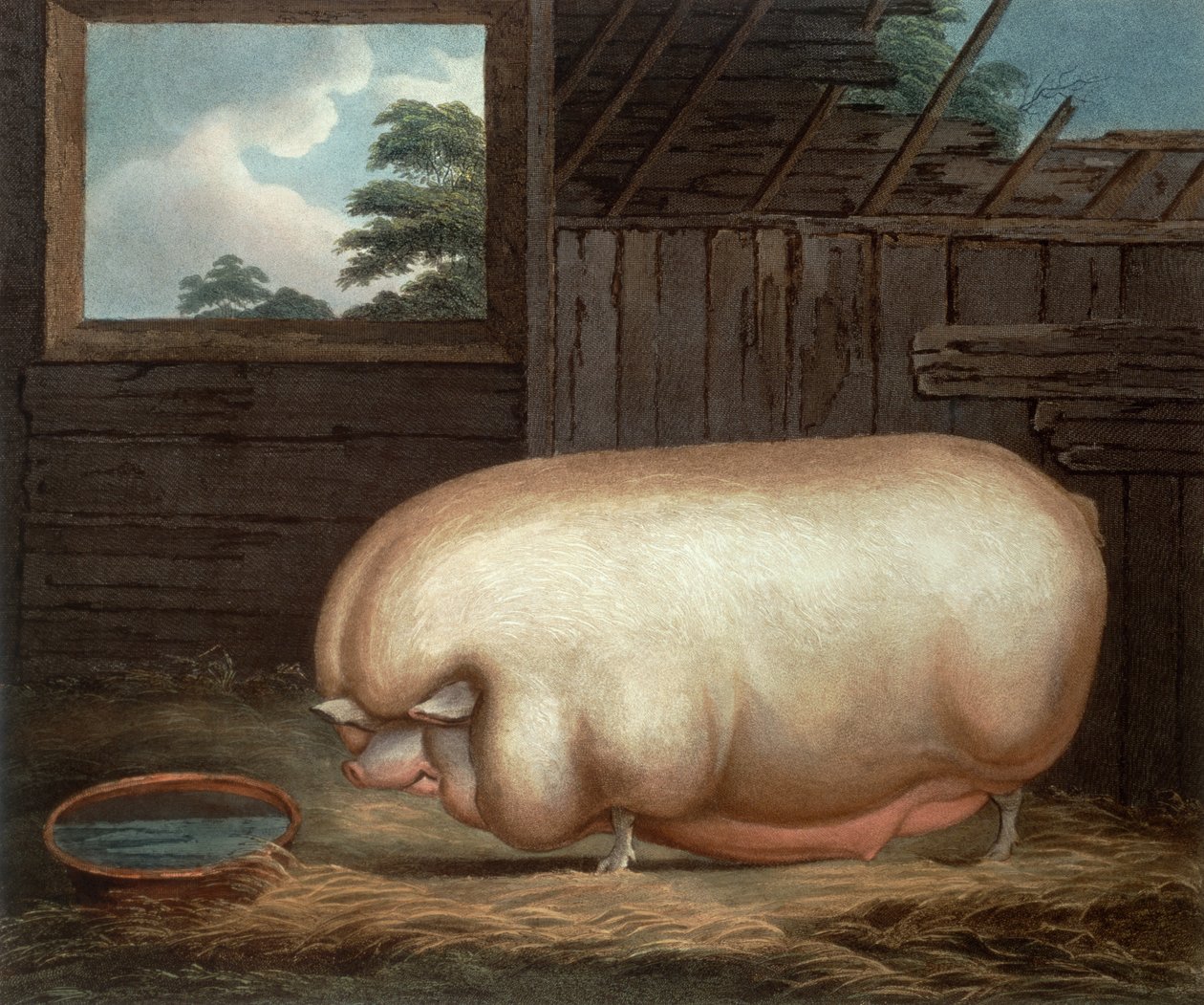 Dette bemerkelsesverdige dyret..., gravert av John Whessel (ca. 1760-1823), 1808 av Benjamin Gale