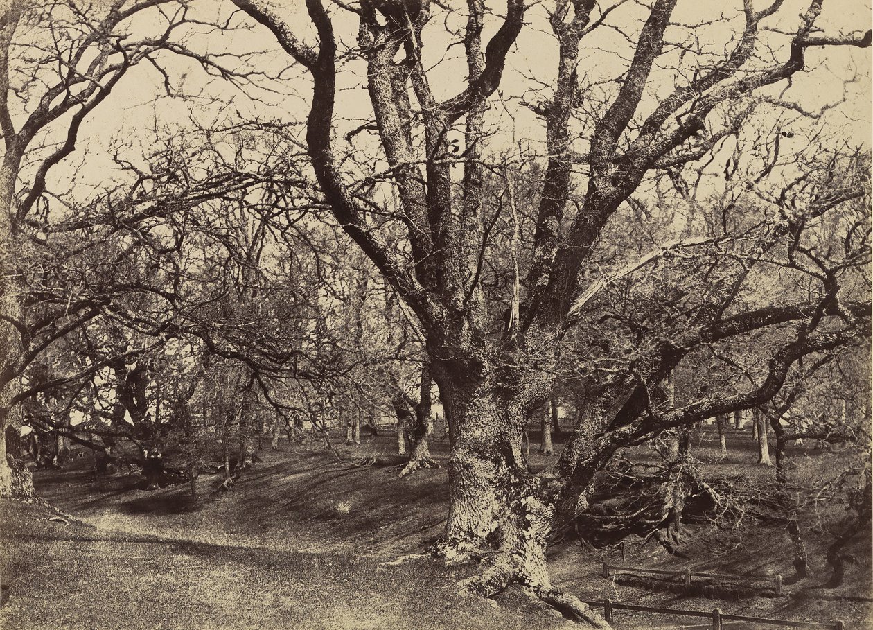Pepperharrow Park, Surrey, 1852-54. av Benjamin Brecknell Turner