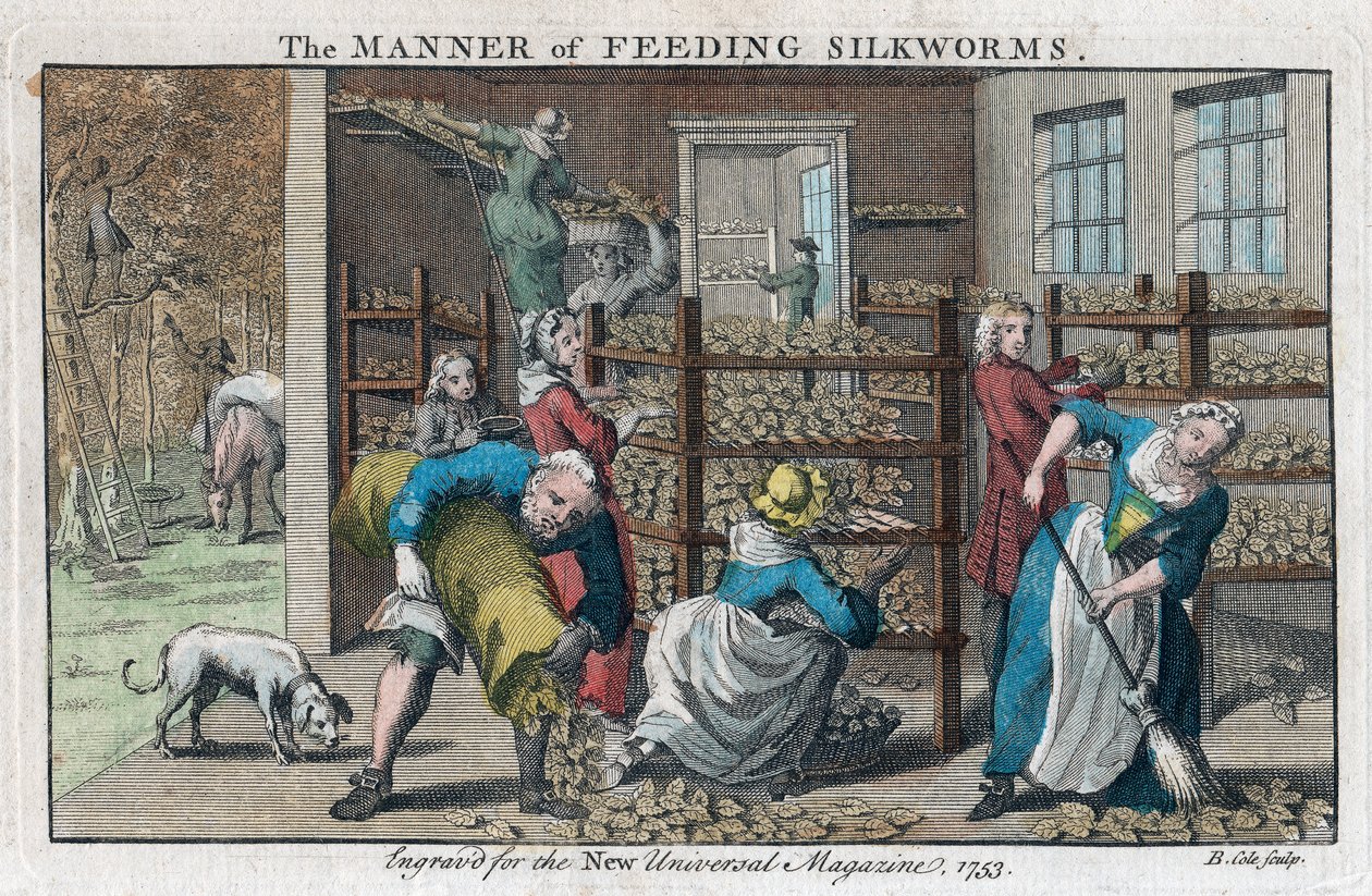 Måten å mate silkeorm, 1753 av Benjamin Cole