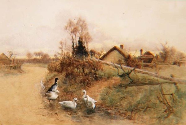 Dabbling Ducks av Benjamin D. Sigmund