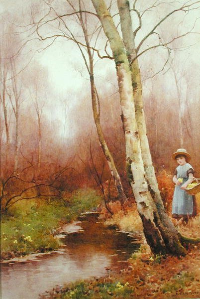 Samler Primroser av Benjamin D. Sigmund