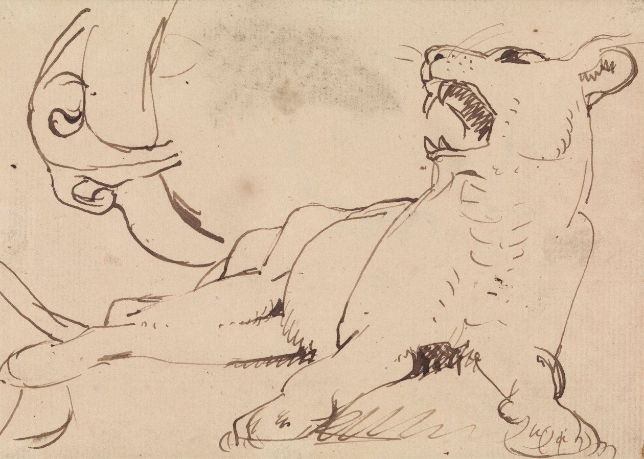 Studie av en løvinne av Benjamin Robert Haydon