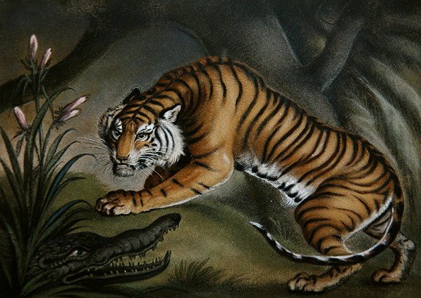 Tiger og krokodille, ca. 1810 (sandbilde om bord) av Benjamin Zobel