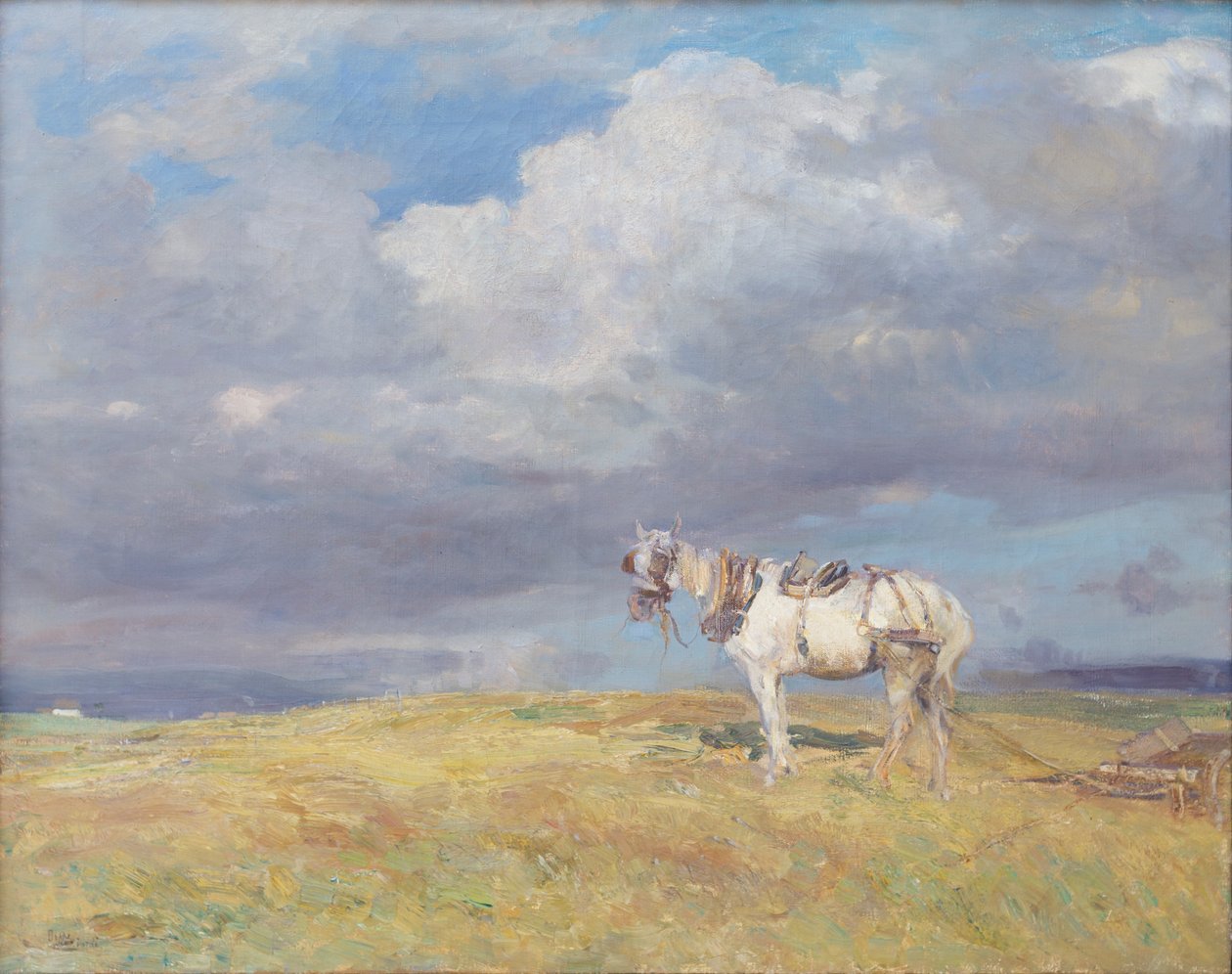  av Beppe Ciardi