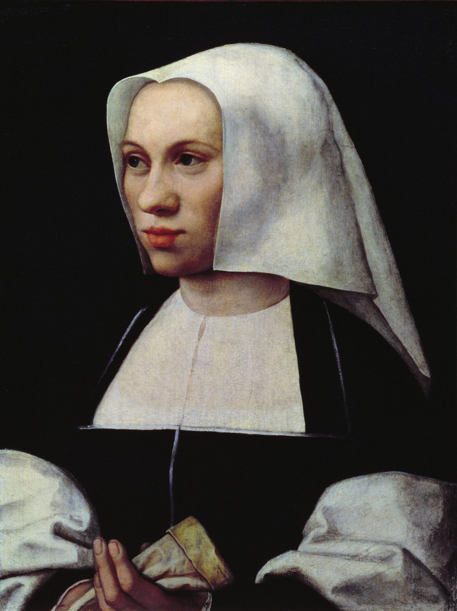 Portrait of a Woman, ca. 1521-25 (panel) av Bernard van Orley