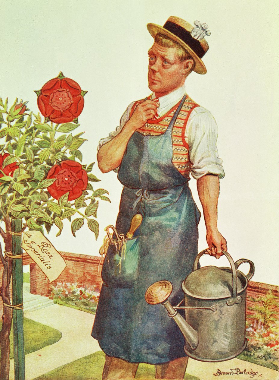  av Bernard Partridge