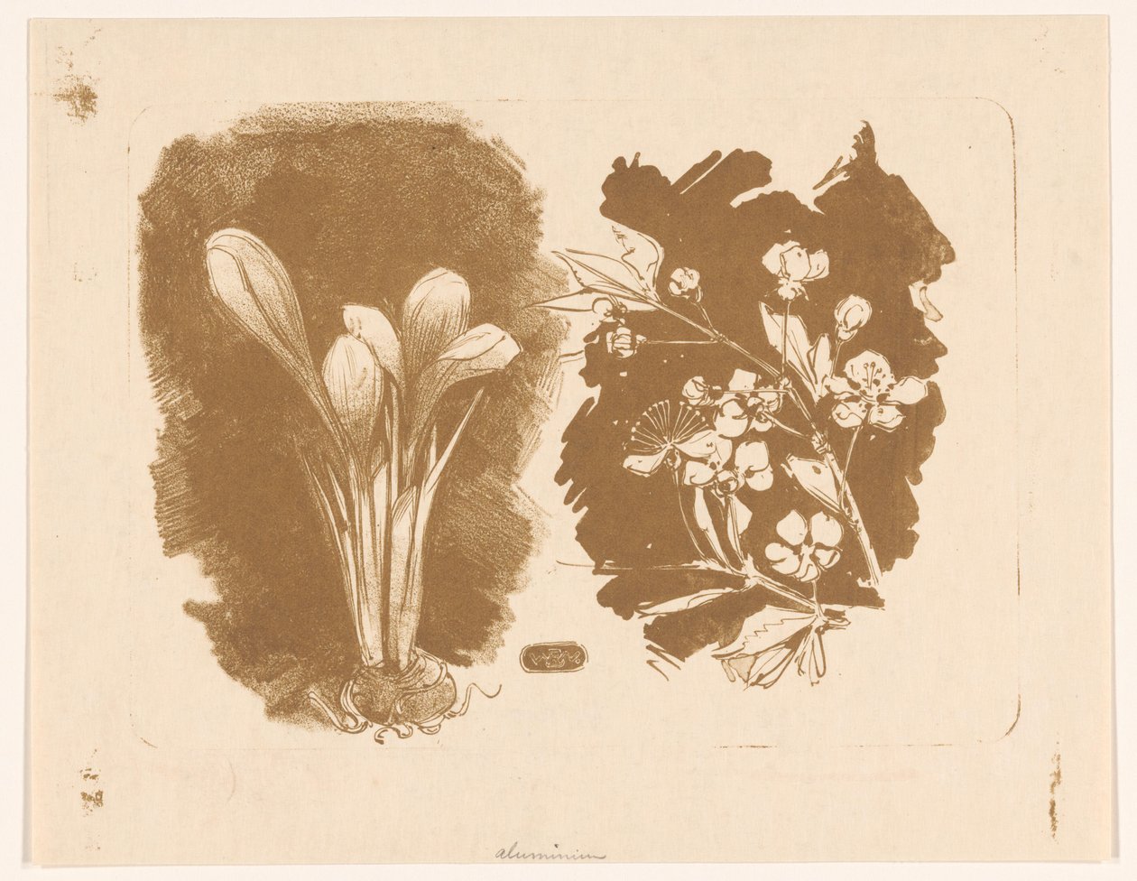 Krokus og en gren med blomst av Bernard Willem Wierink