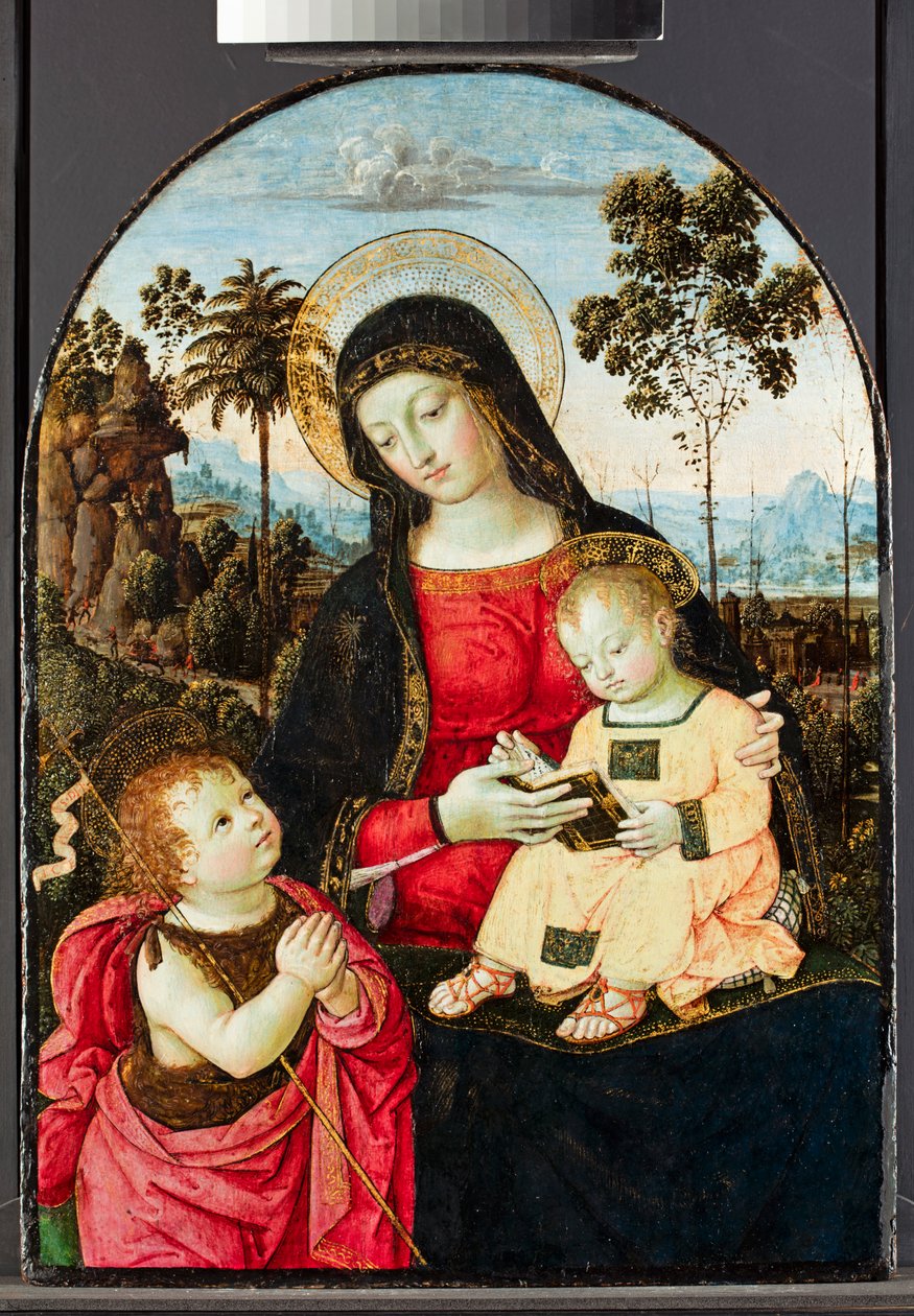 Jomfru og barn med døperen Johannes, 1490-95 (tempera med olje og glasurer og gull på panel) av Bernardino di Betto Pinturicchio