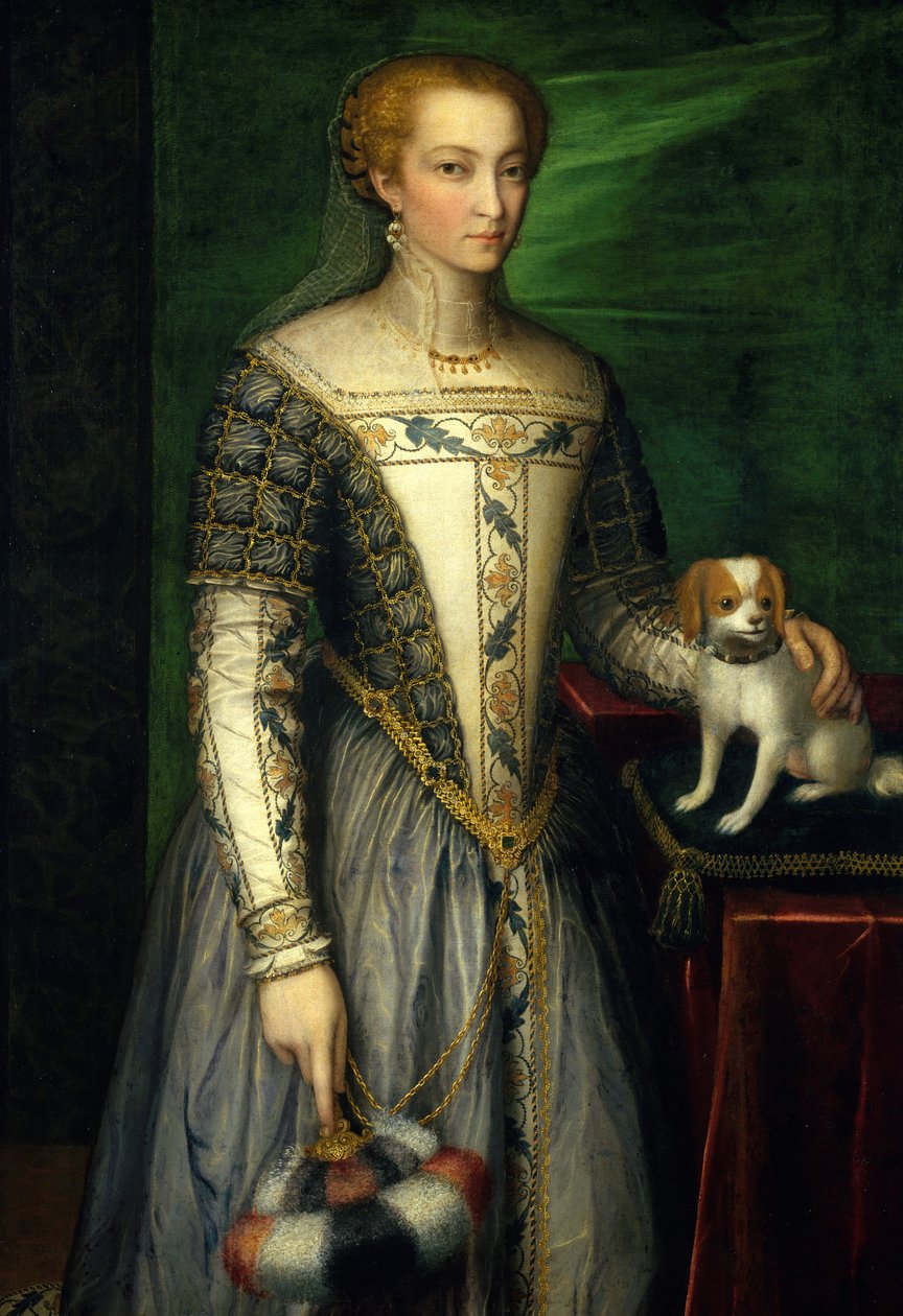 Portrett av en kvinne, slutten av 1560-tallet. av Bernardino Campi
