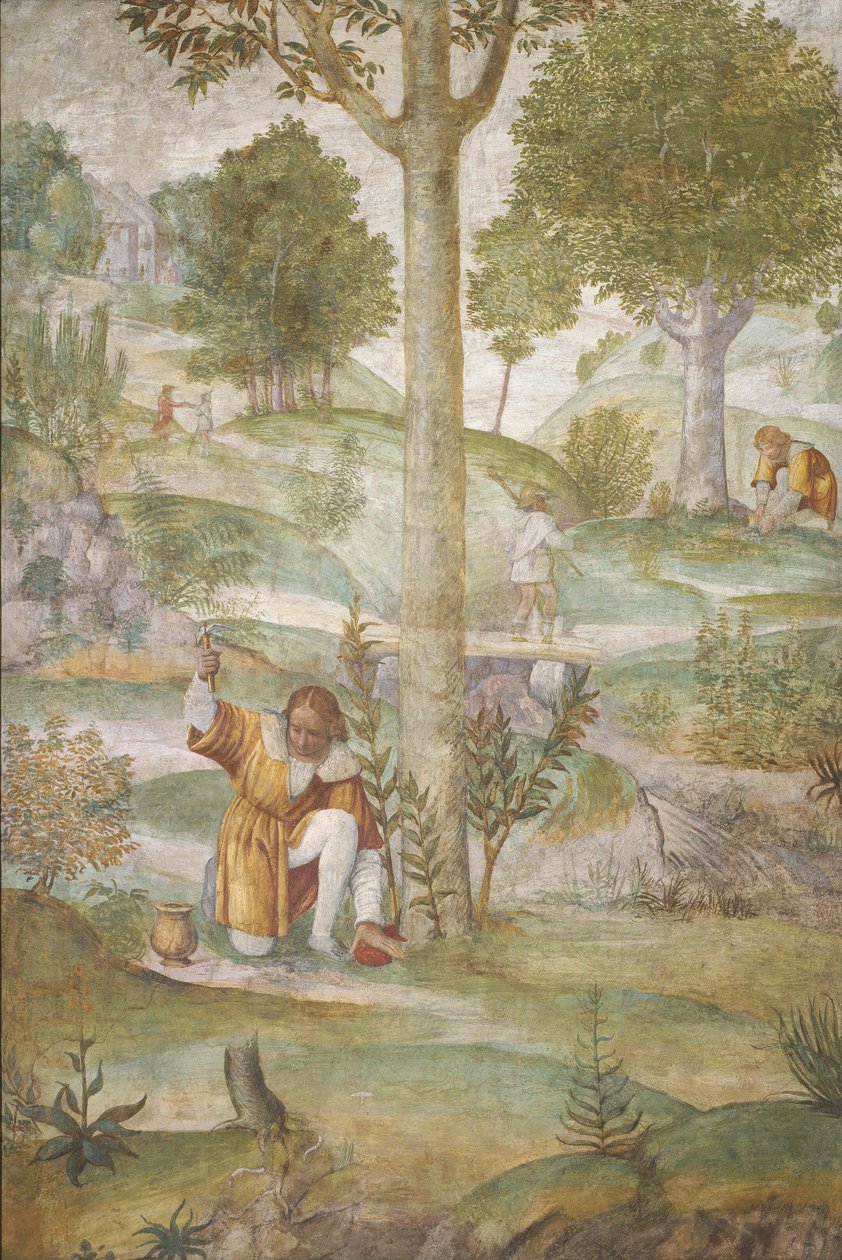 Cephalus skjuler juvelene, ca. 15201522. av Bernardino Luini