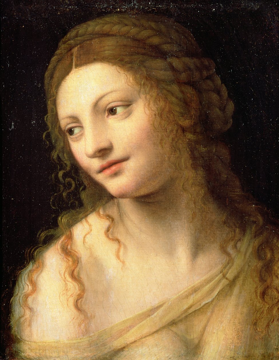 Ukjent bilde av Bernardino Luini