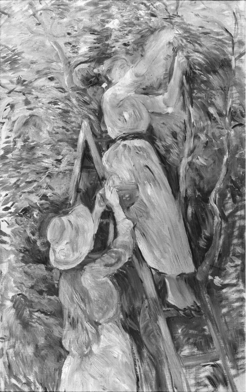 Plukke kirsebær, 1891 (se også 18907) av Berthe Morisot