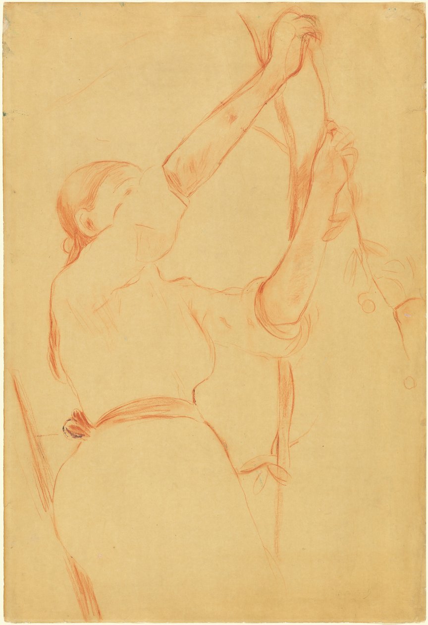 Jente plukker kirsebær av Berthe Morisot