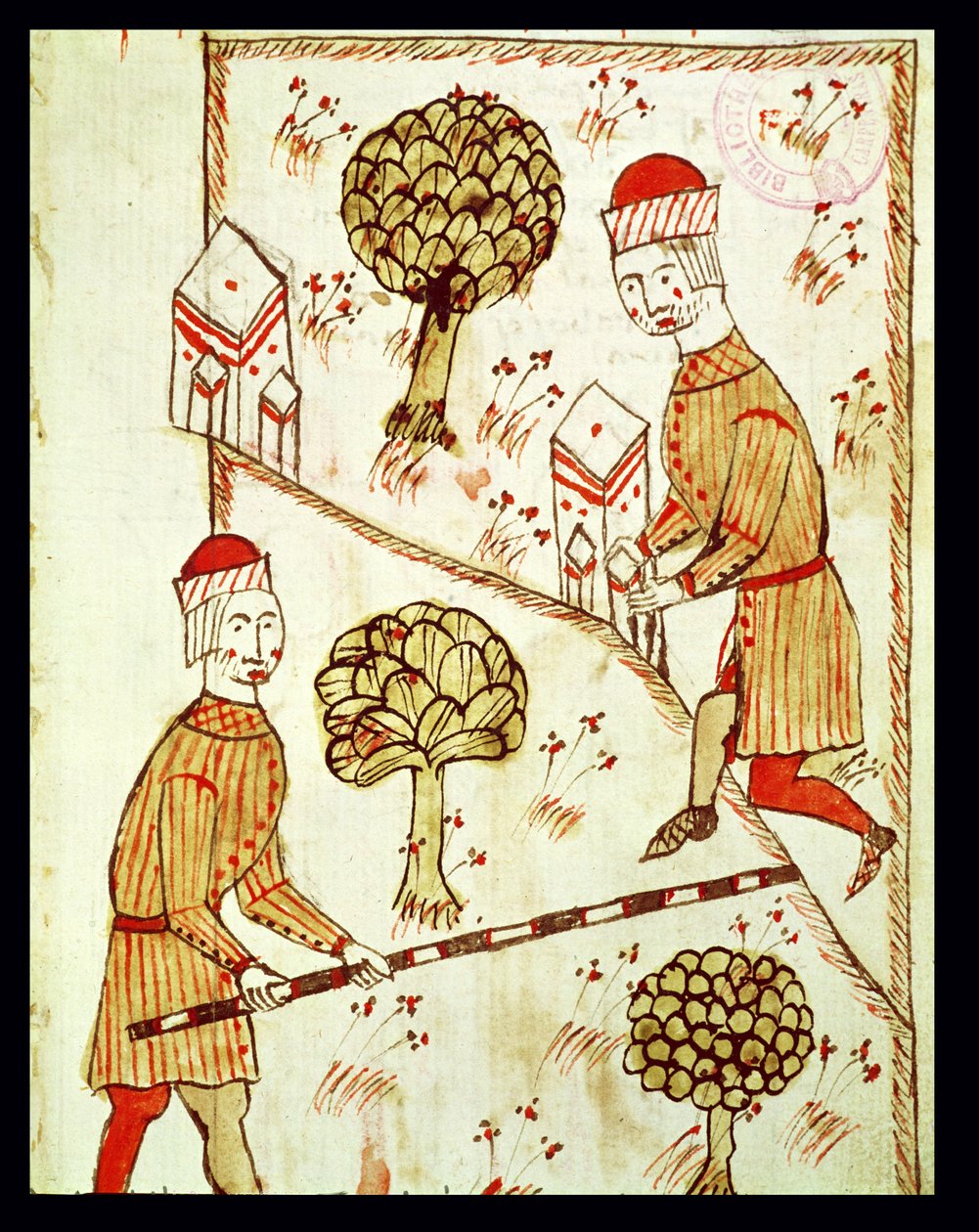 Ms 327 fol.28r Oppmåling og avgrensning av land, fra 