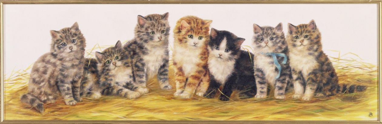 Syv kattunger av Bessie Bamber