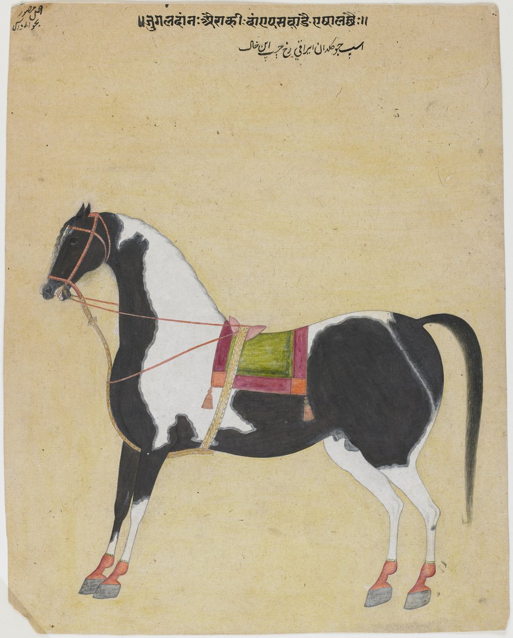 Hingsten Jukaldan Ayragi, ca. 1730 (ugjennomsiktig wc på papir) av Bhavani Das