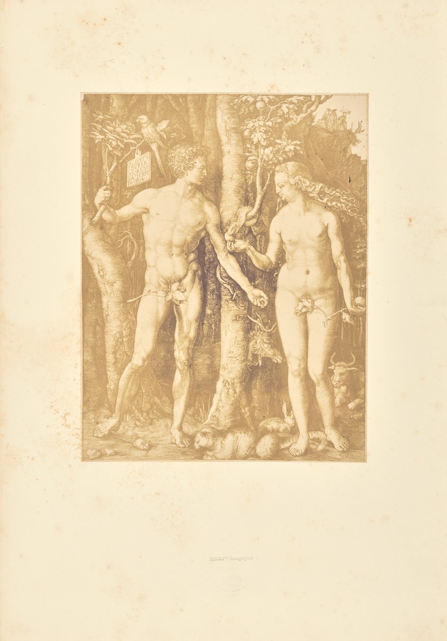  av Bisson Frères