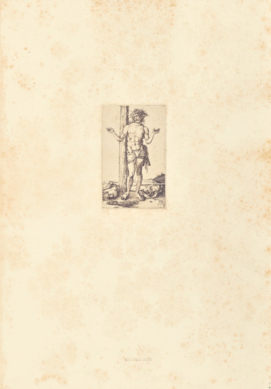  av Bisson Frères