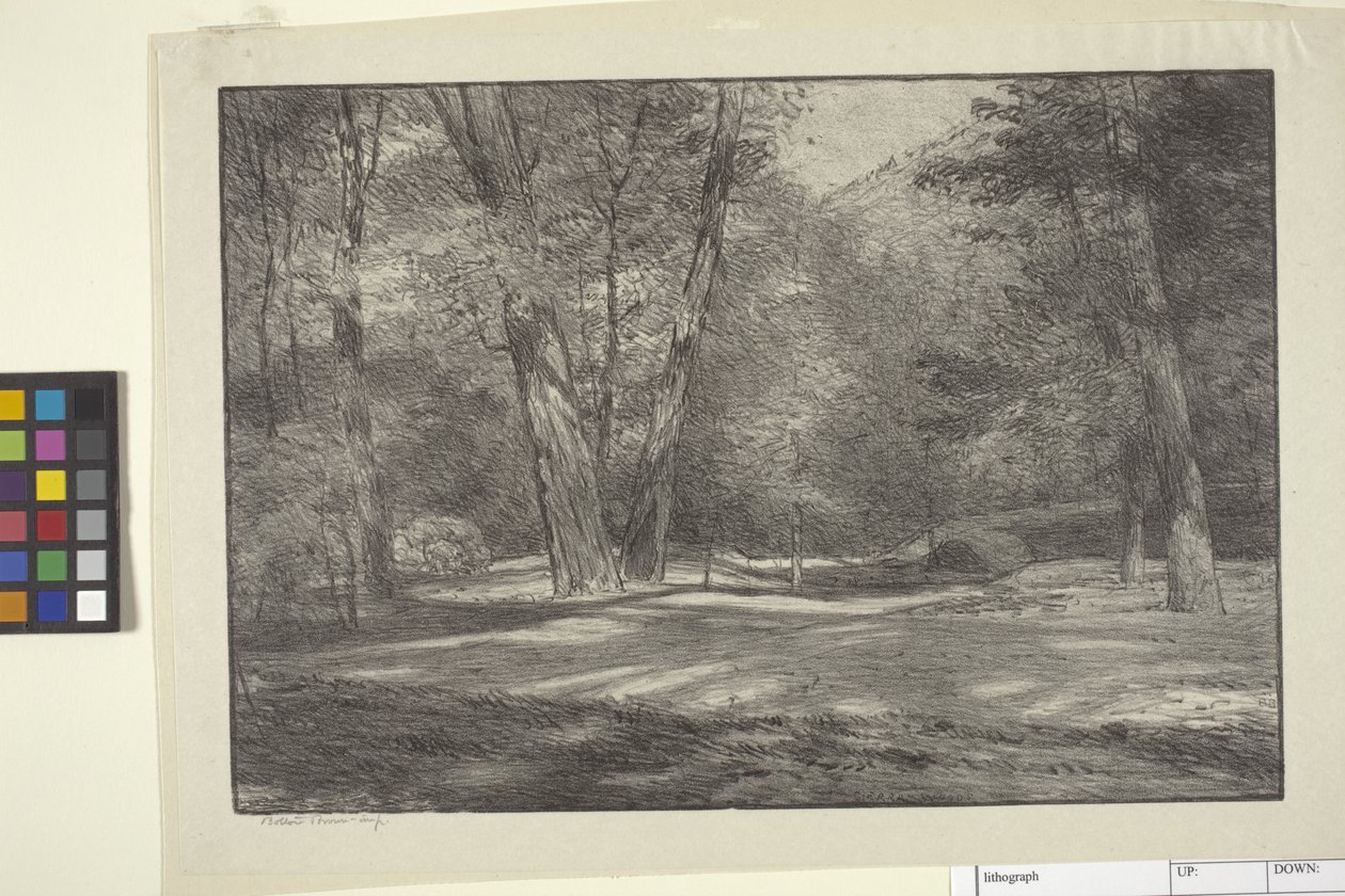 Sierra Woods (blekk på papir) av Bolton Coit Brown