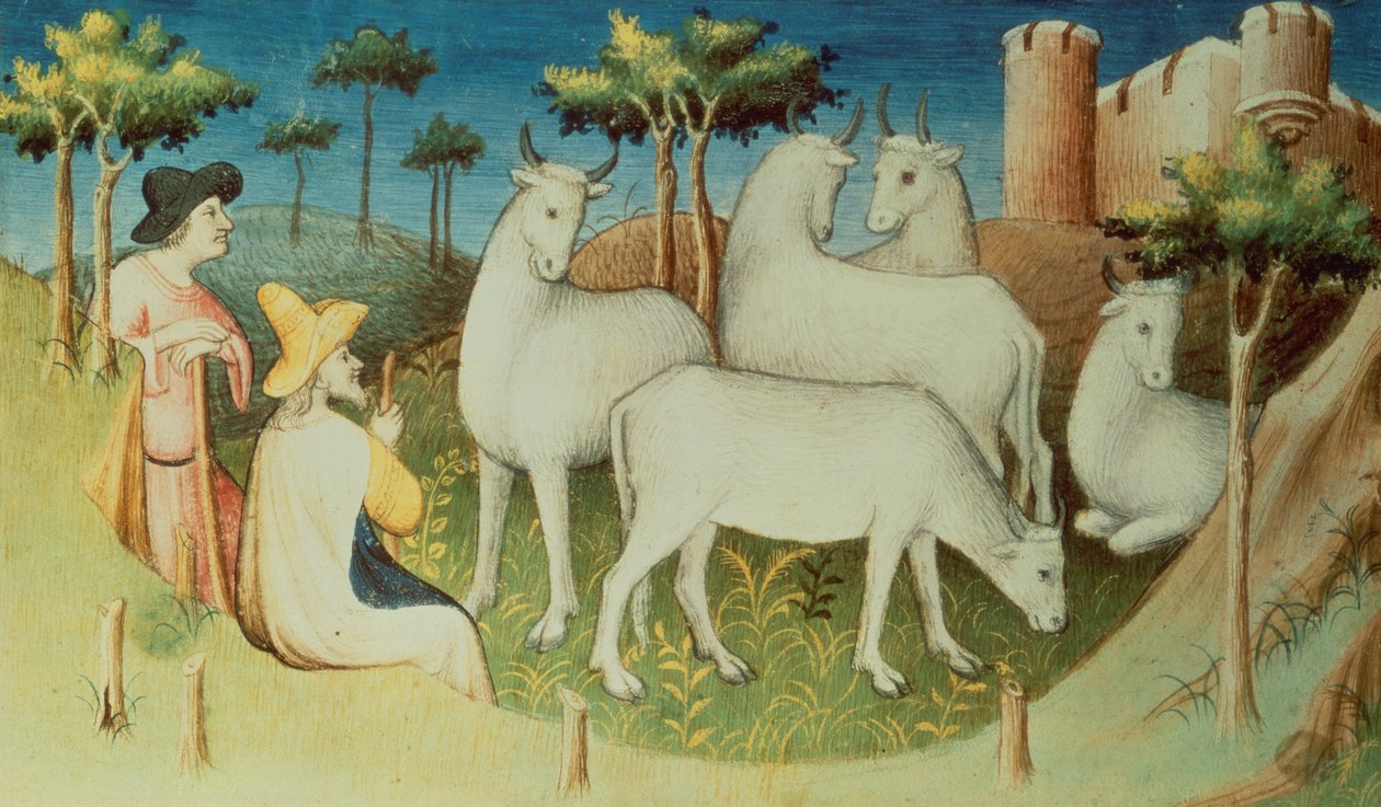 Fr 2810 f.13v, Marco Polo på sine reiser, fra 
