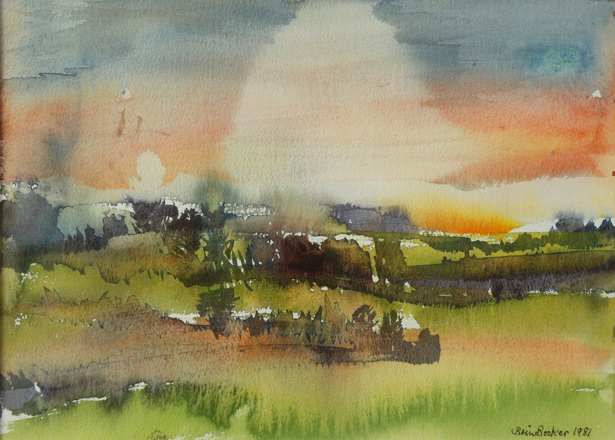 After Rain, 1981 (wc på papir) av Brenda Brin Booker