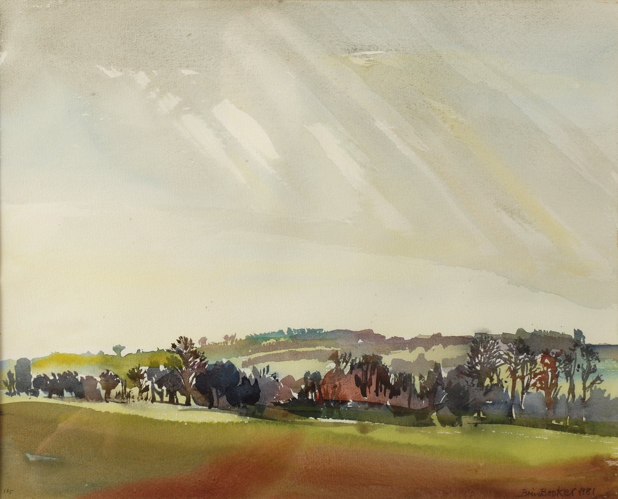 Morning Landscape, 1981 (wc på papir) av Brenda Brin Booker