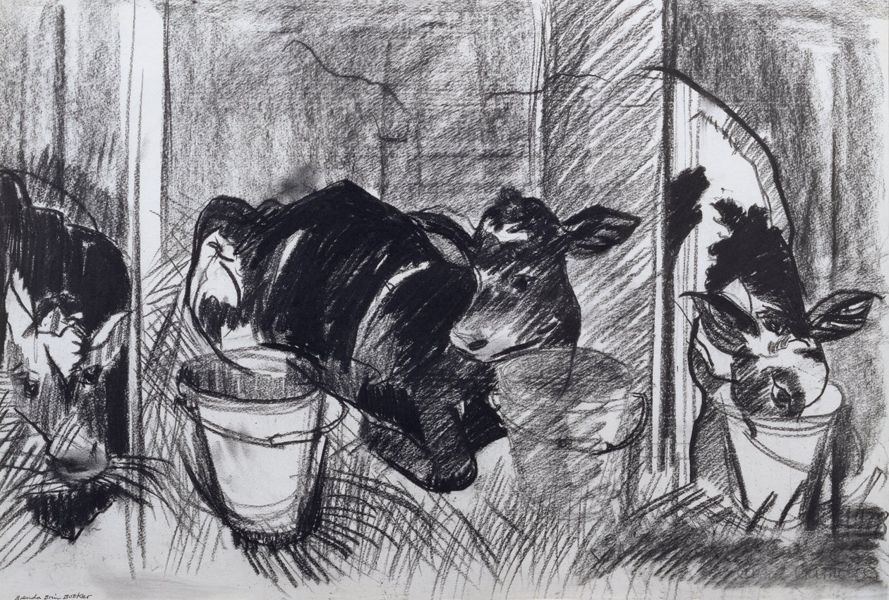 Kalver (kull på papir) av Brenda Brin Booker