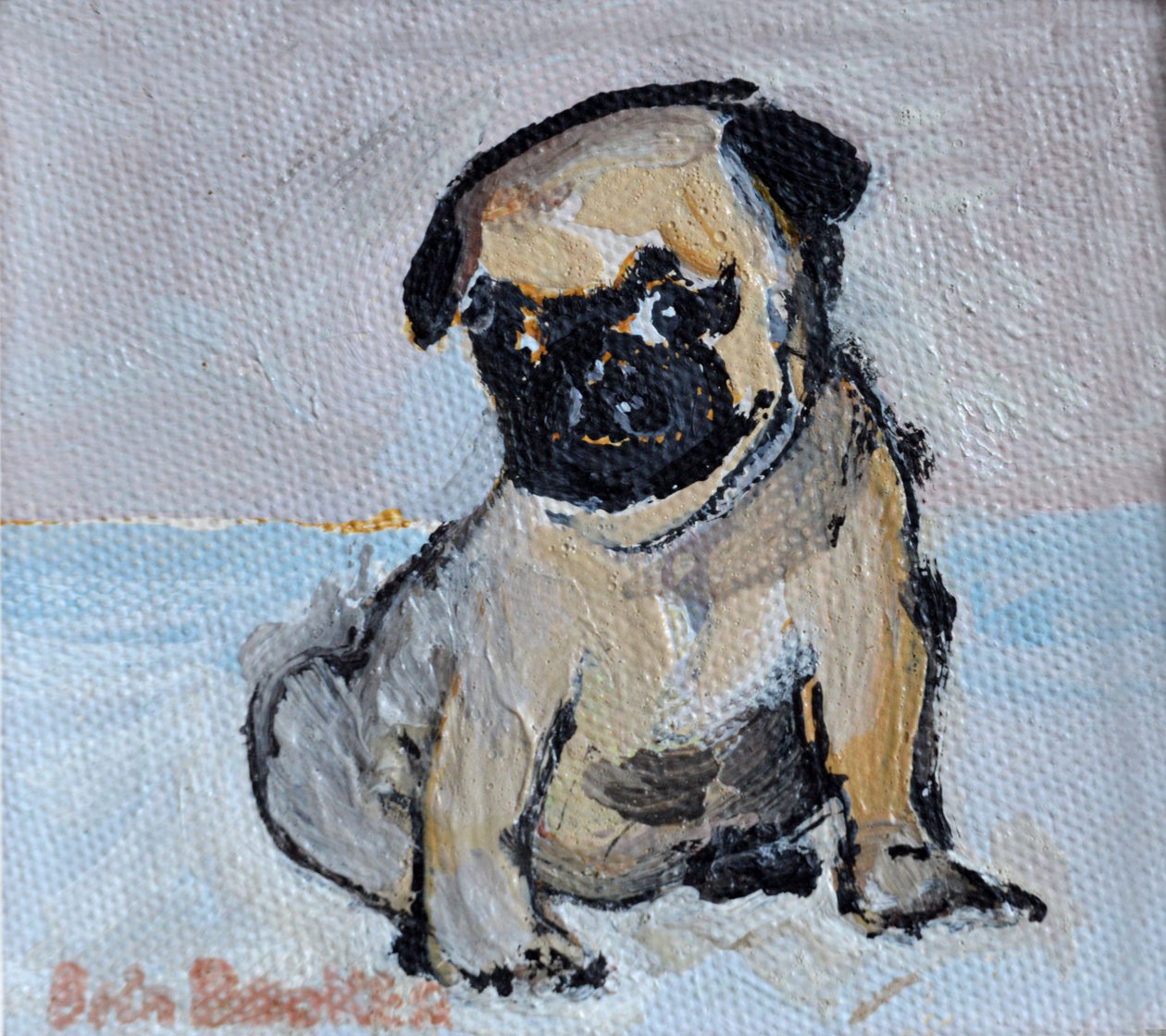 Vincent, mopsvalpen av Brenda Brin Booker