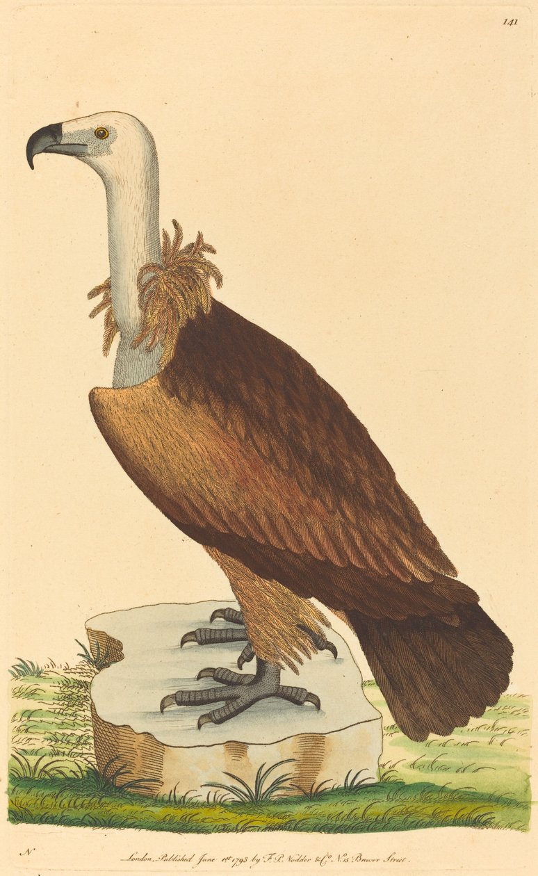 Alpegribben av British 18th Century