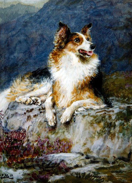 Collie i et landskap av Briton Riviere