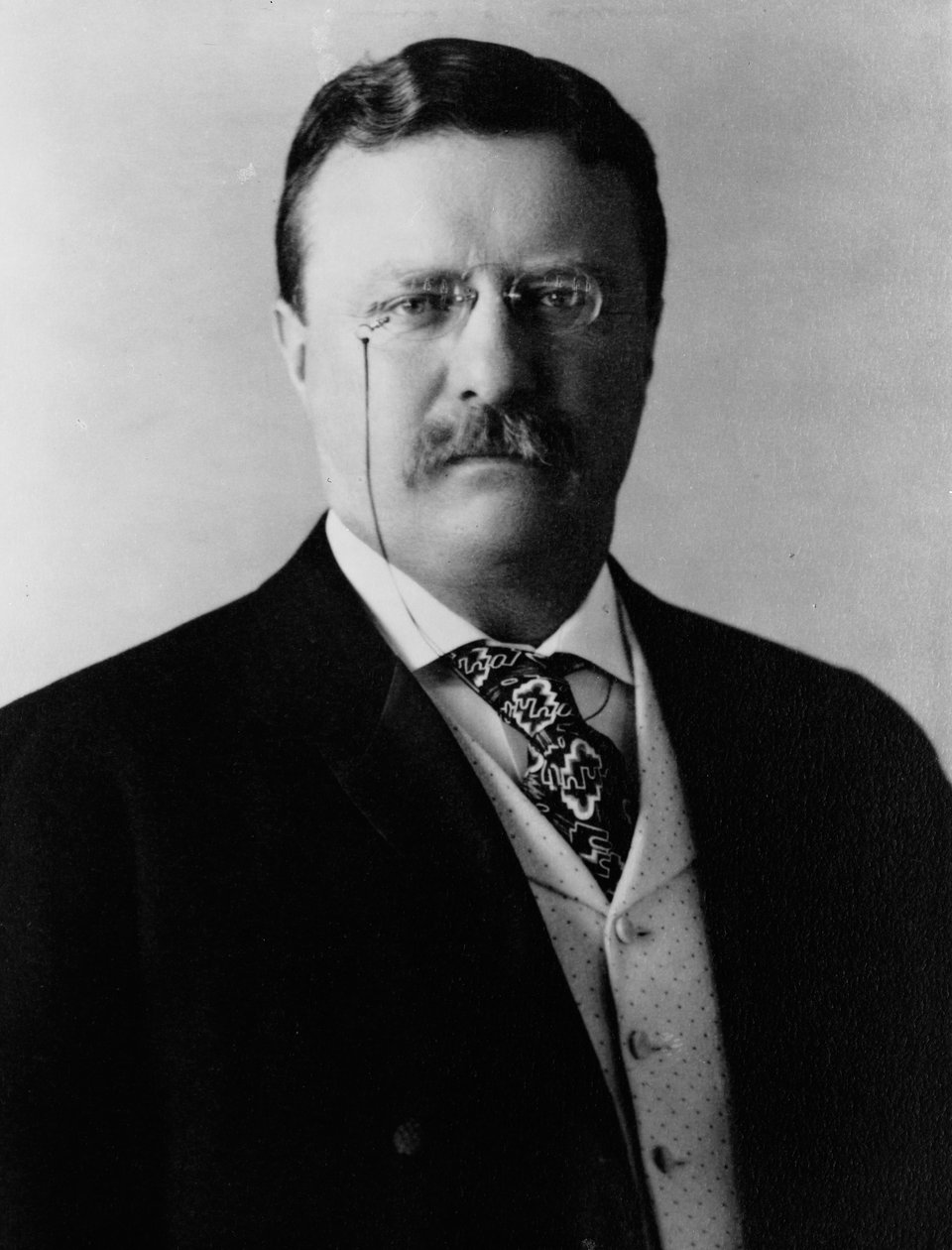 Theodore Roosevelt, ca. 1904 (s/hvitt-bilde) av Brothers Pach
