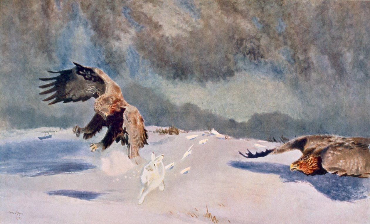 Eagles and Rabbit, 1922 av Bruno Andreas Liljefors