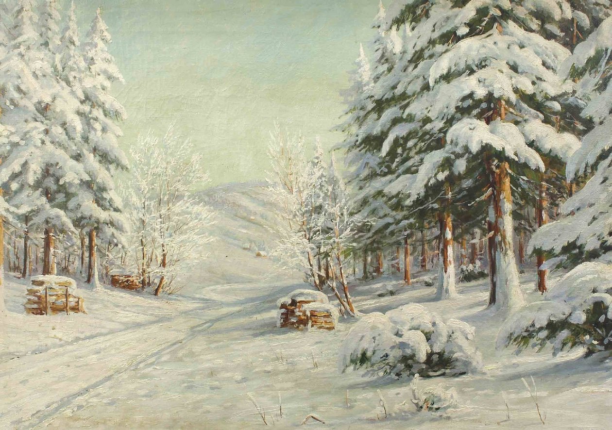 Vinterlandskap av Bruno Moras