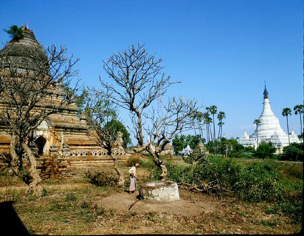 Pagoder nær Irrawaddy-elven (bilde) av Burmese School