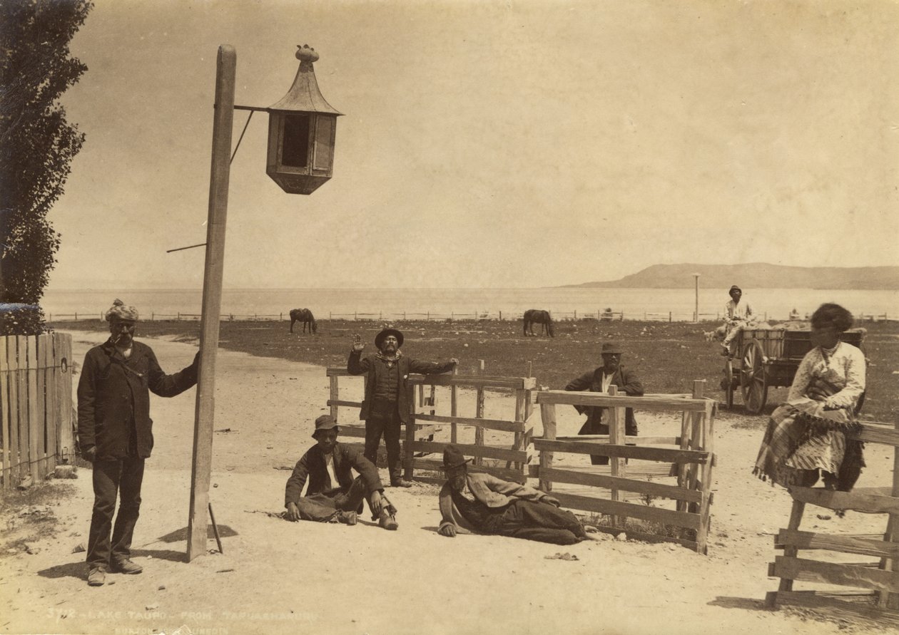 Lake Taupo - fra Tapuaharuru, ca. 1886 (albumtrykk) av Burton Brothers Studio