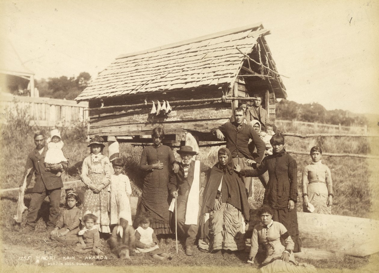 Maori Kaik - Akoroa, ca. 1884 (albumtrykk) av Burton Brothers Studio