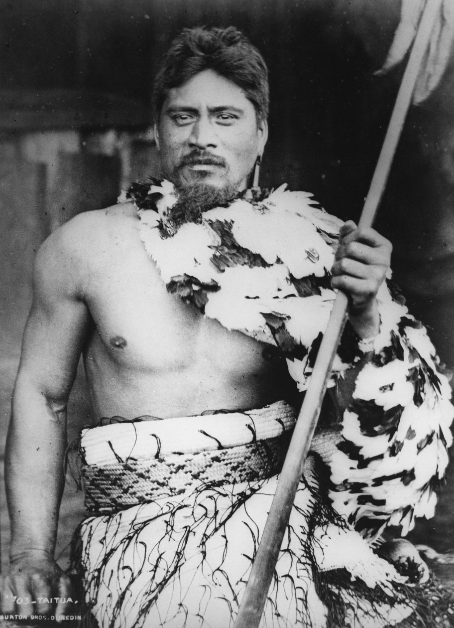 Taitua ved Taumaranui, Kings Country, 1885 av Burton Brothers Studio