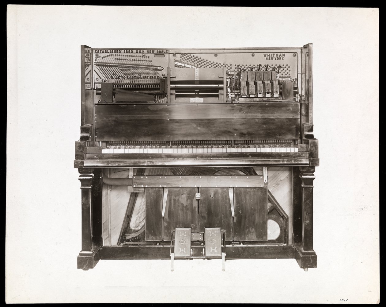 A player piano, 1915-16 (sølv gelatintrykk) av Byron Company