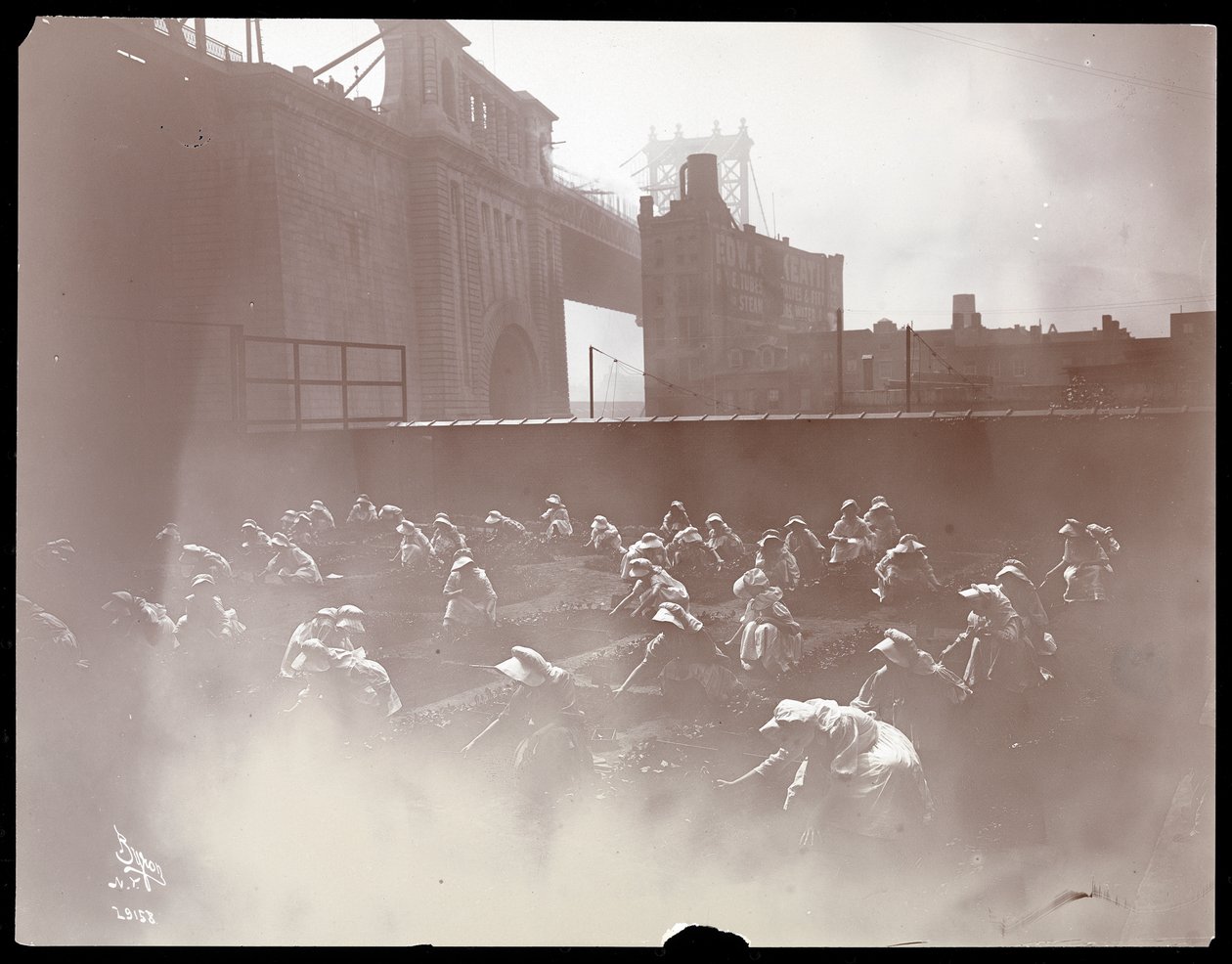 Jenter som jobber på en grønnsakshage på taket, Manhattan Bridge synlig bortenfor, New York, 1910 (sølv gelatintrykk) av Byron Company