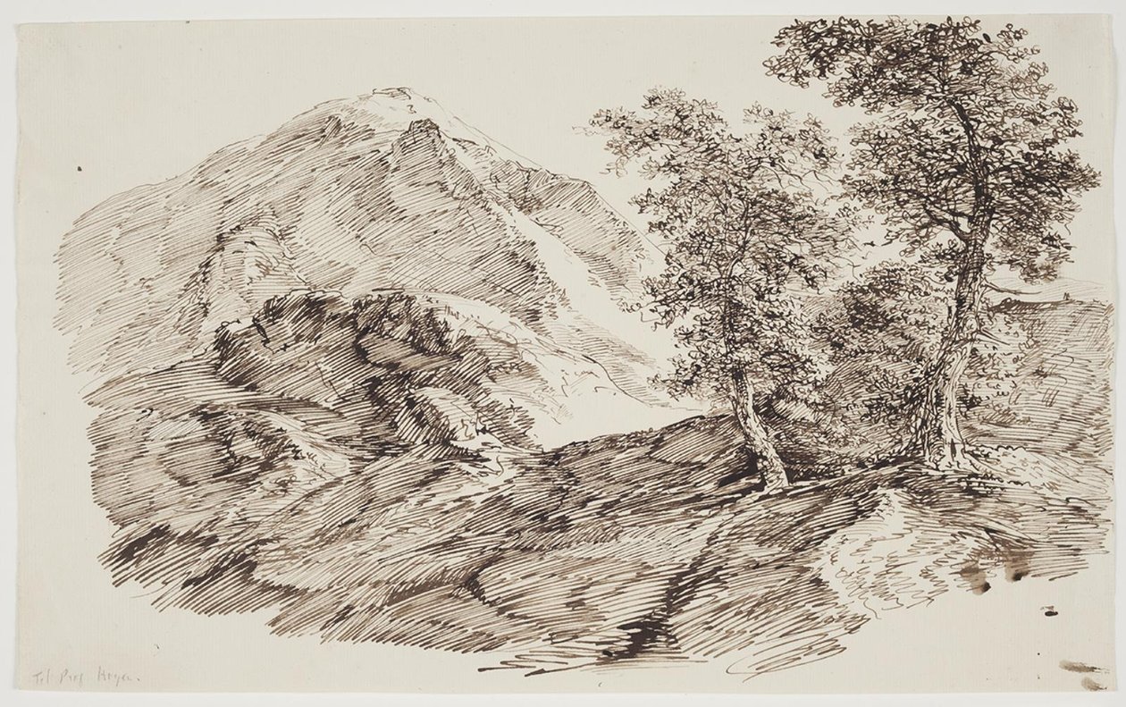 Fjelllandskap med trær av C.F. von Rumohr